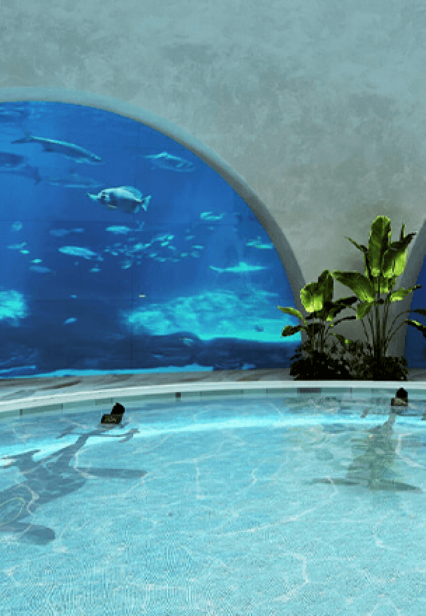 Aqua Gym